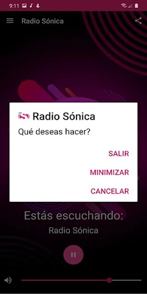 Radio Sónica Perú Screenshot 3