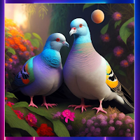Pigeon Wallpapers HD