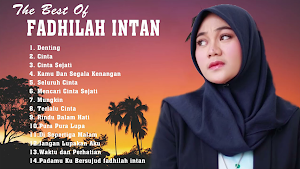 DJ Fadhilah Intan Offline Screenshot 0