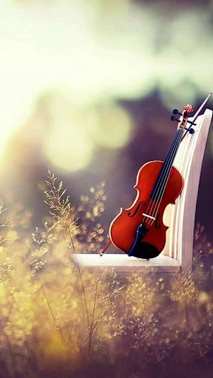 Violin Wallpapers Screenshot 3