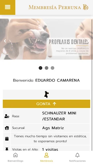 BarberDog Screenshot 1