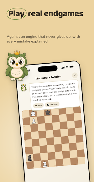 Chess Endgames - ChessEndings Screenshot 0
