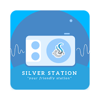 SILVER STATION