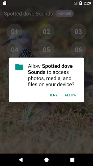 Spotted dove sound Screenshot 3
