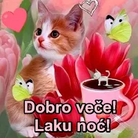 Dobro veče Laku noć Slike