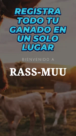 RASSMUU Screenshot 0
