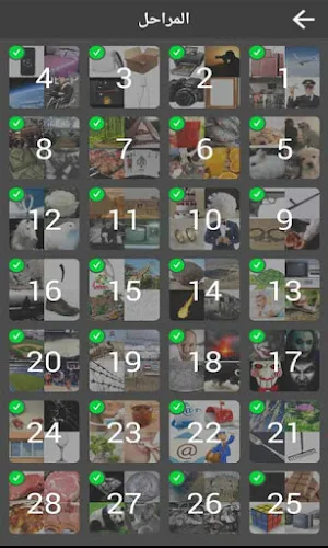 أربع صور وكلمة واحدة Screenshot 3
