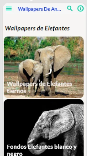 Wallpapers de Animales Screenshot 1