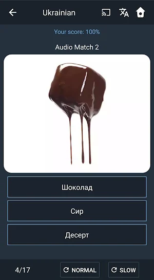 Learn Ukrainian. Speak Ukrainian. Study Ukrainian. Screenshot 2