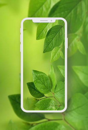 Green Wallpaper Screenshot 1