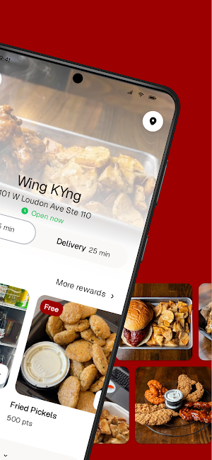 Wing KYng Screenshot 1