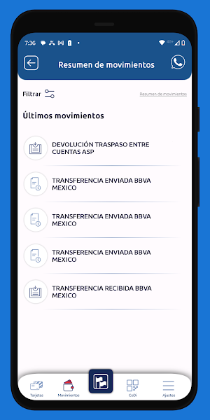 ASP Pago Screenshot 2