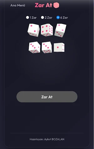 Evde Etkinlik Çarkı Screenshot 0