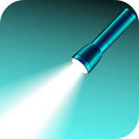Torch Light