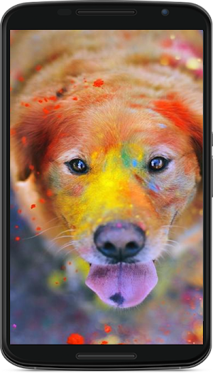 dog wallpaper Screenshot 3