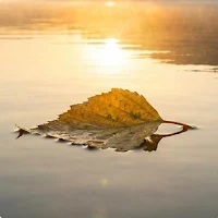 Tyyni – Mielialapäiväkirja