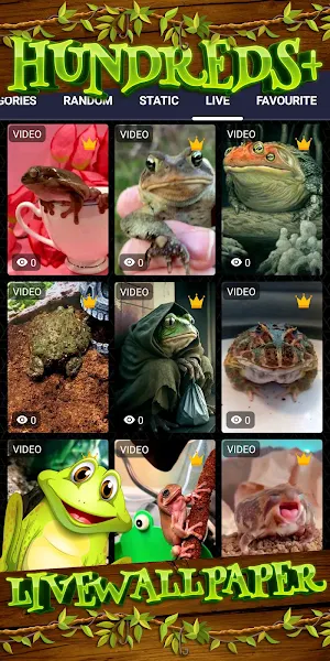 cute frog wallpaper Screenshot 2