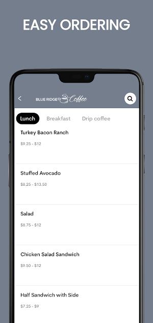 Blue Ridge Coffee Screenshot 3