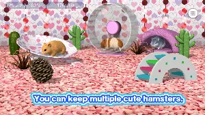 Play with your hamster Screenshot 0