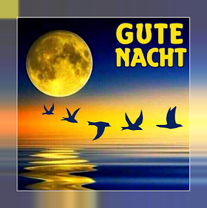 Gute Nacht Screenshot 0