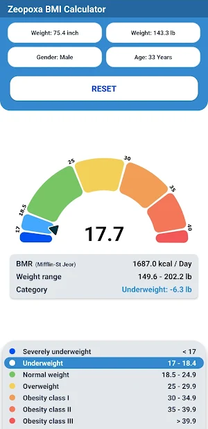 BMI Calculator Screenshot 2