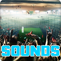 Football Stadium Crowd Sounds