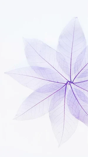 Pastel Wallpapers Screenshot 3