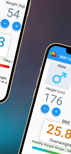 BMI Calculator Screenshot 3