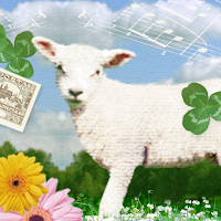 Little Lamb Wallpaper Theme