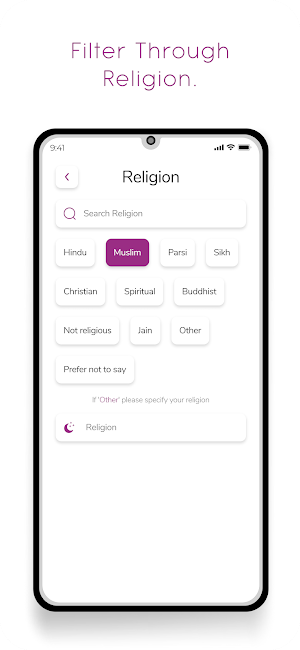 desipro Screenshot 3