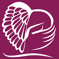 CareTeam App