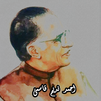 Ahmed Nadeem Qasmi Collection