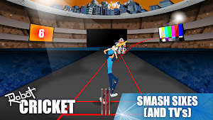 Robot Cricket Screenshot 3