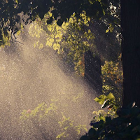 Rain Sound Relaxation / Ultimate Stress Relief