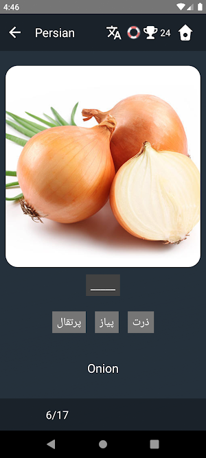 Persian Language Tests Screenshot 3