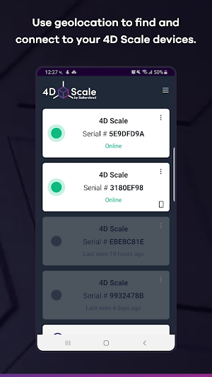 4D Scale Screenshot 2
