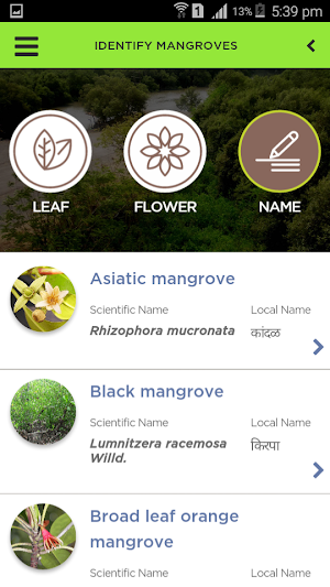 Mangroves Screenshot 1