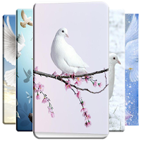 Dove Wallpaper