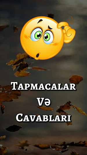 Tapmacalar və Cavabları Screenshot 0