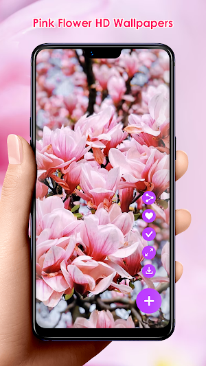 Pink Flower HD Wallpapers Screenshot 2