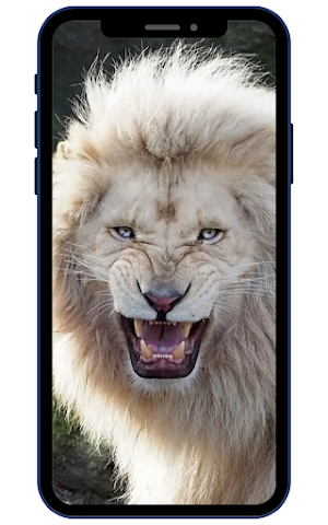 White Lion Wallpapers Screenshot 0