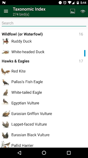 Birds of North Africa Screenshot 1