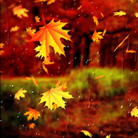 Beautiful Autumn Live Wallpaper