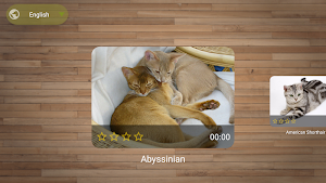Cat Puzzle Game Screenshot 1