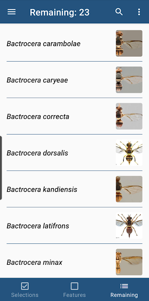 Key important fruit flies EU Screenshot 1