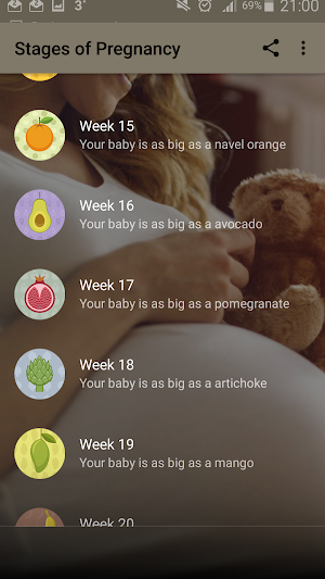 Stages of Pregnancy Screenshot 1