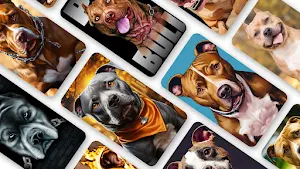 Pitbull Wallpaper 2024 Screenshot 0