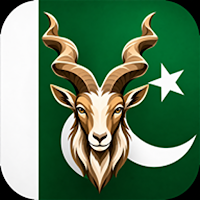 Dil Pakistan: Frames & Pics