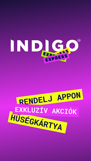 Indigo Express Screenshot 0