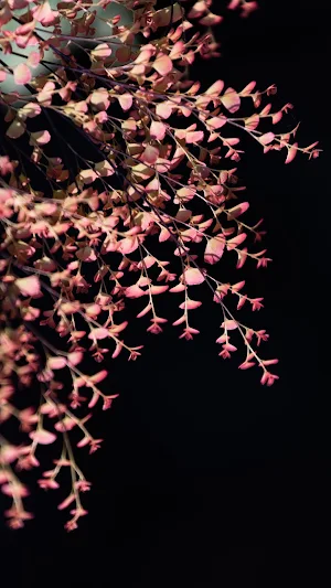 Maidenhair Fern Wallpaper Screenshot 0